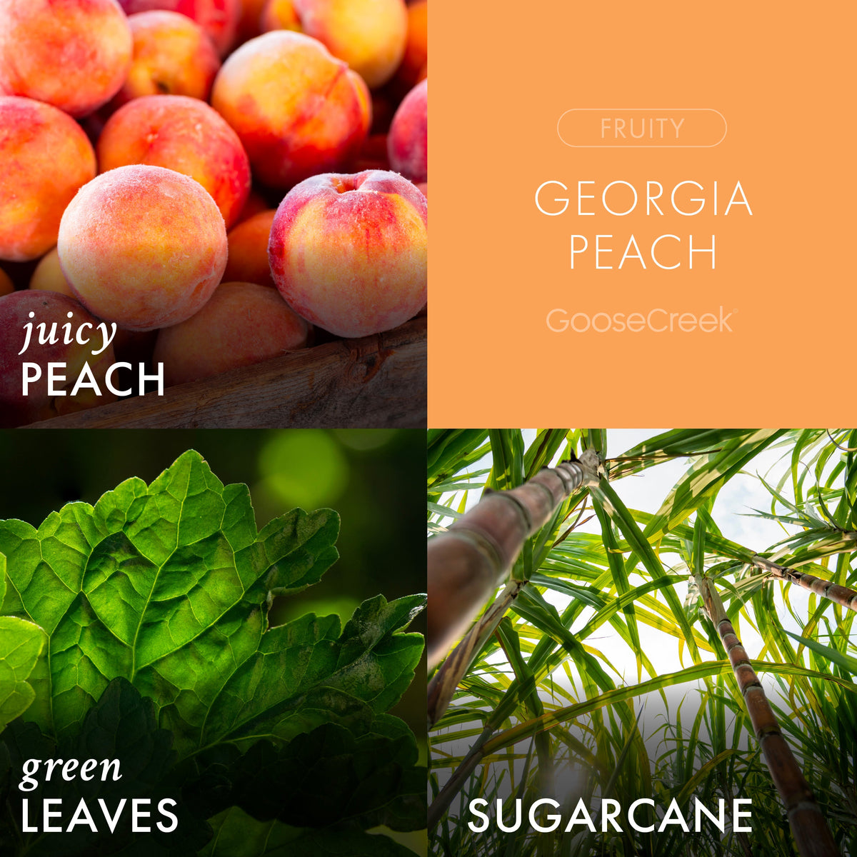 Georgia Peach 3-Wick Candle