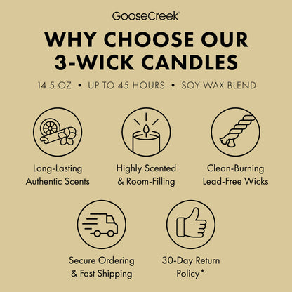 Girl Scout Adventurefuls 3-Wick Candle