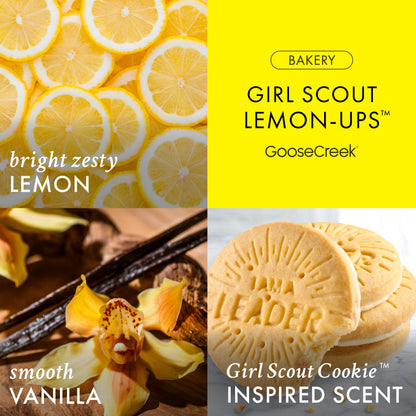 Girl Scout Lemon-Ups 3-Wick Candle