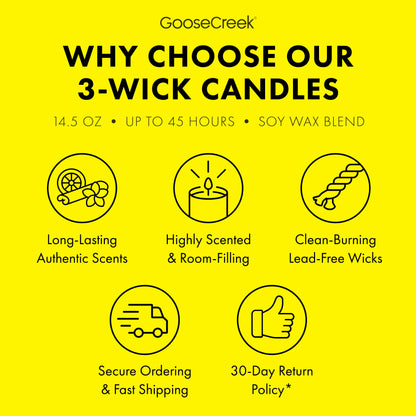 Girl Scout Lemon-Ups 3-Wick Candle