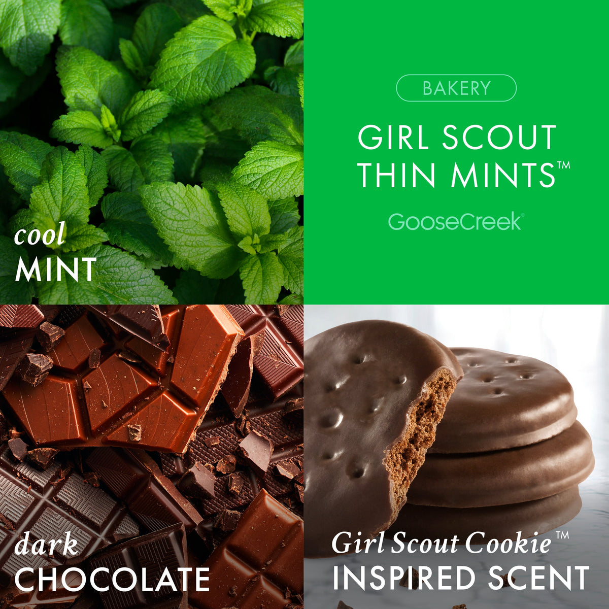 Girl Scout Thin Mint 3-Wick Candle