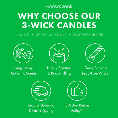 Girl Scout Thin Mint 3-Wick Candle