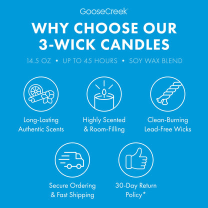 Girl Scout Trefoils 3-Wick Candle