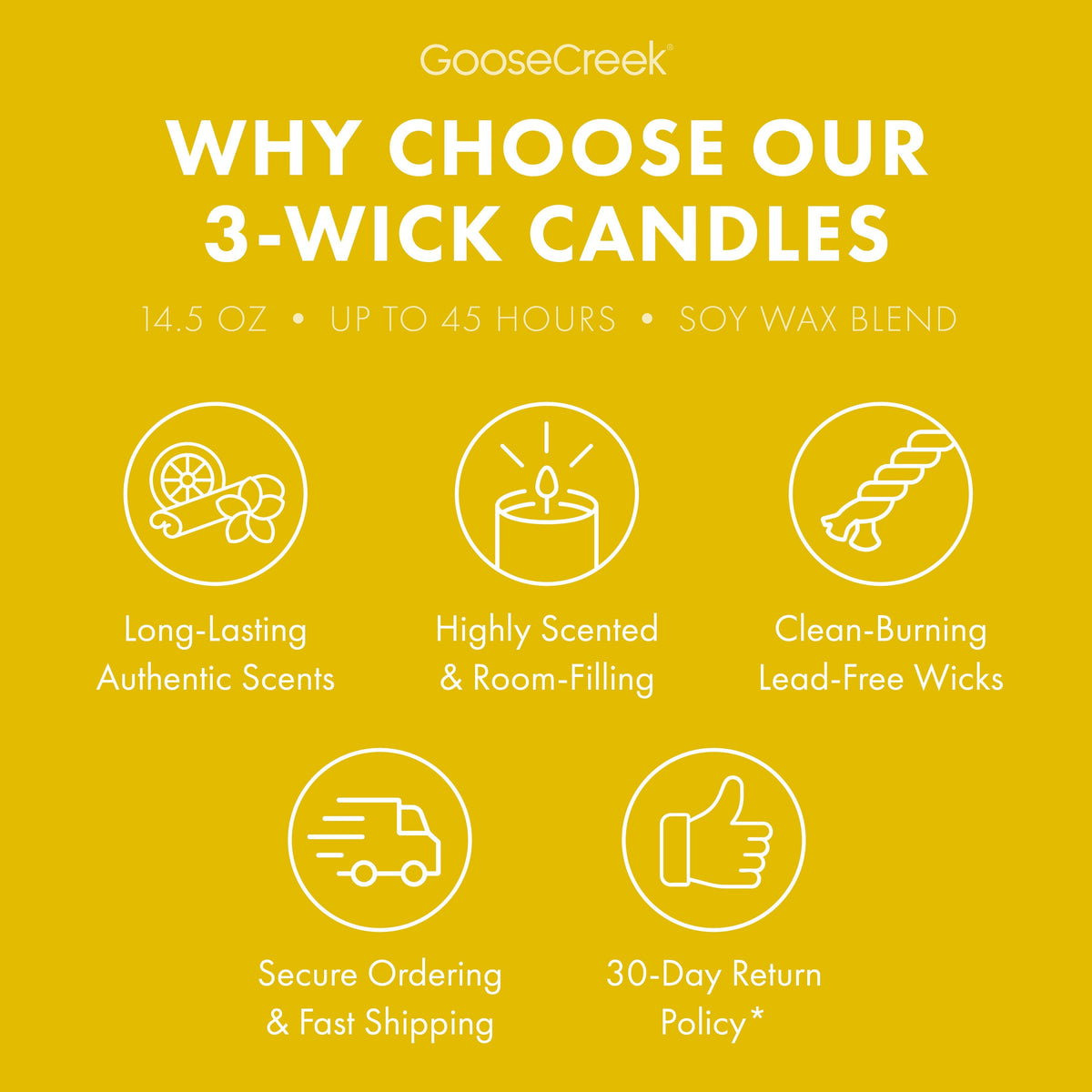 The Wild Thornberry's Nickelodeon 3-Wick Candle